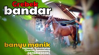 Download Lagu GREBEK BANDAR KUDA RENGGONG MP3 Download Lagu GREBEK BANDAR KUDA RENGGONG MP3