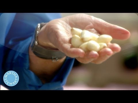 Peeling a Head of Garlic - Martha Stewart's Cooking School