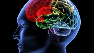 Memorado Make Your Brain Stronger screenshot 3