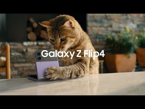 Galaxy Z Flip4 : წარდგენა | Samsung