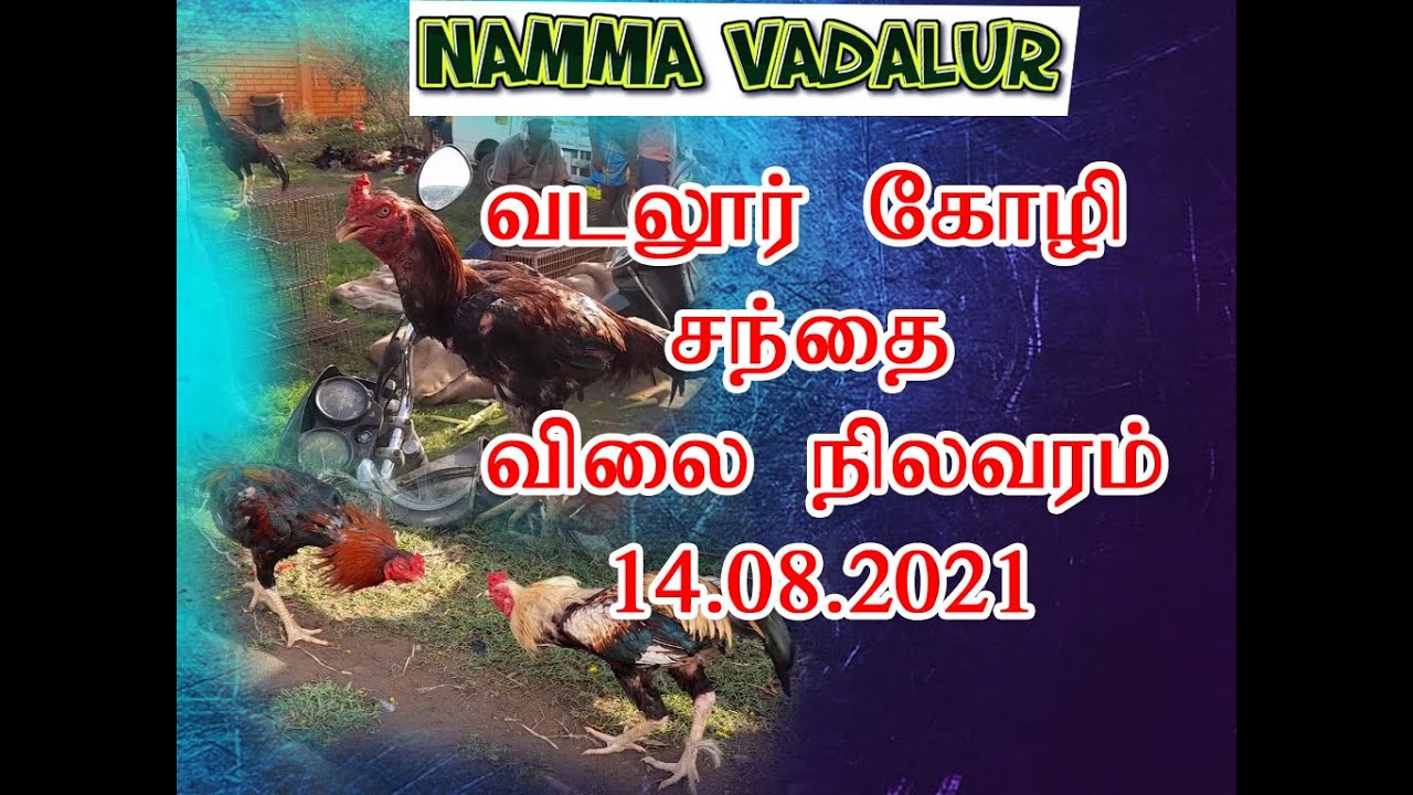 வடலூர் கோழி சந்தை விலை நிலவரம், 14/08/2021