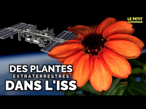 Vidéo: Est-ce que l'ISS pourrait planter ?