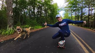 Dog Shredding Gnar Guide