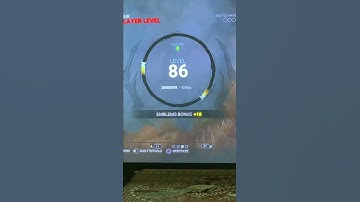 Dead by daylight new patch glitch