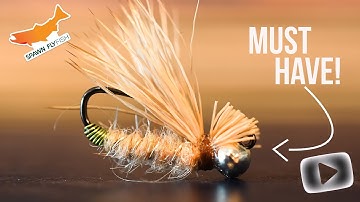 Must Have Diving Caddis- Fly Tying Tutorial