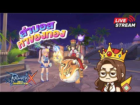 Rox Ranger LIVE 🔴 Rox Ranger Crit : เป็นนกที่ตื่นเช้า - YouTube