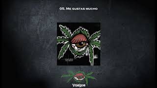 viejas locas - "Me gustas mucho"