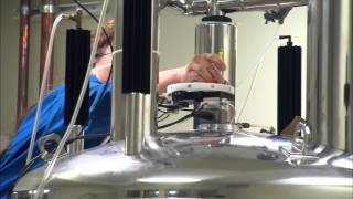 Understanding Our Oil: Down to the Molecules