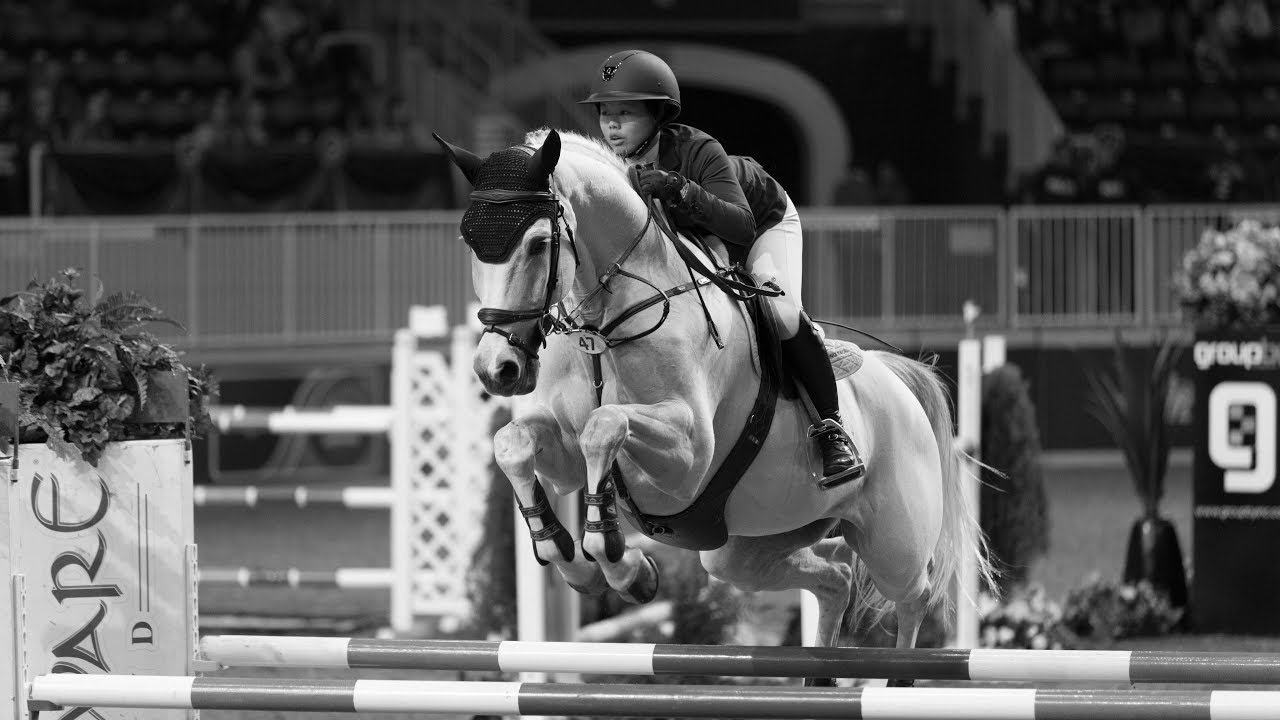 The Royal Winter Fair 2017 YouTube The Royal Winter Fair 2017 YouTube