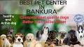 Video for Bankura Pet Shop