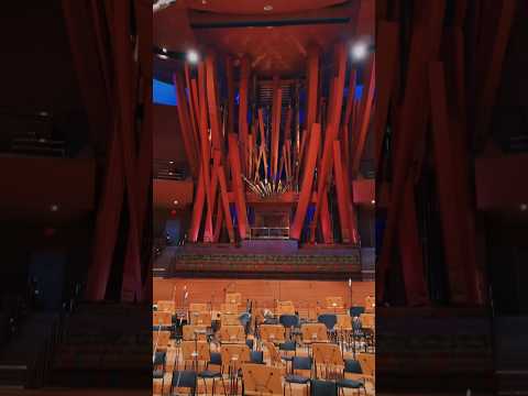 Video: Istraživanje koncertne dvorane W alt Disney