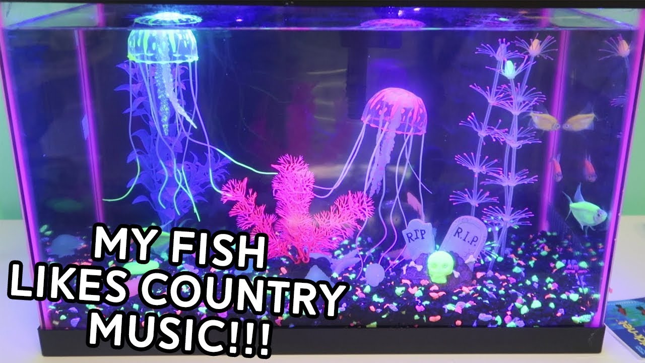 leanne ford SETTING UP A NEW FISH TANK!! | VLOG | KristenLeanneStyle