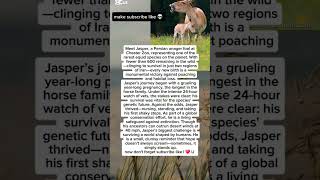The Miracle Foal Defying Extinction