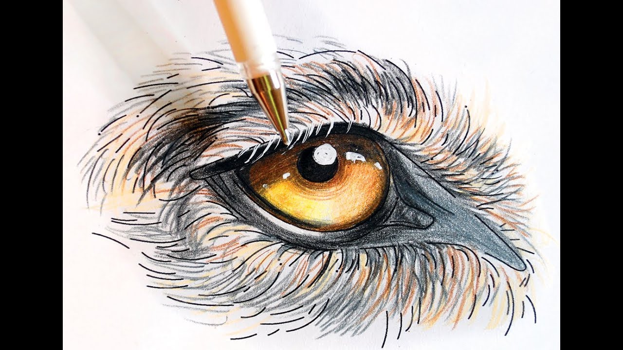 The Secrets Of Coloring Tutorial How To Color A Wolf Eye Youtube