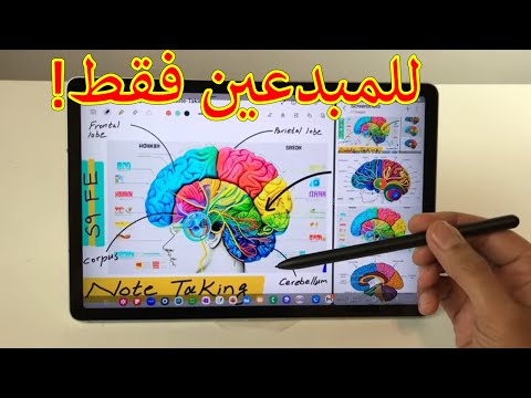 للمبدعين فقط أفضل تطبيق ملاحظات للأندرويد يدعم الرسم والتخطيط البصري