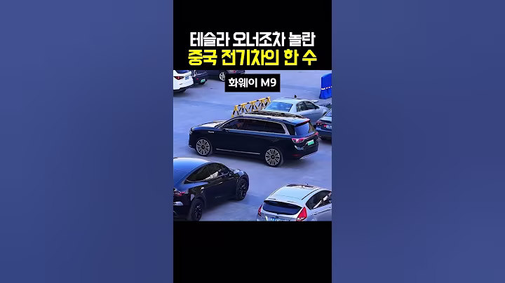 테슬라 오너조차 놀란 중국 전기차의 한 수