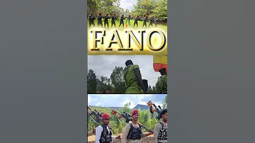 ምርጥ የፋኖ ሙዚቃ Best Fano Music 