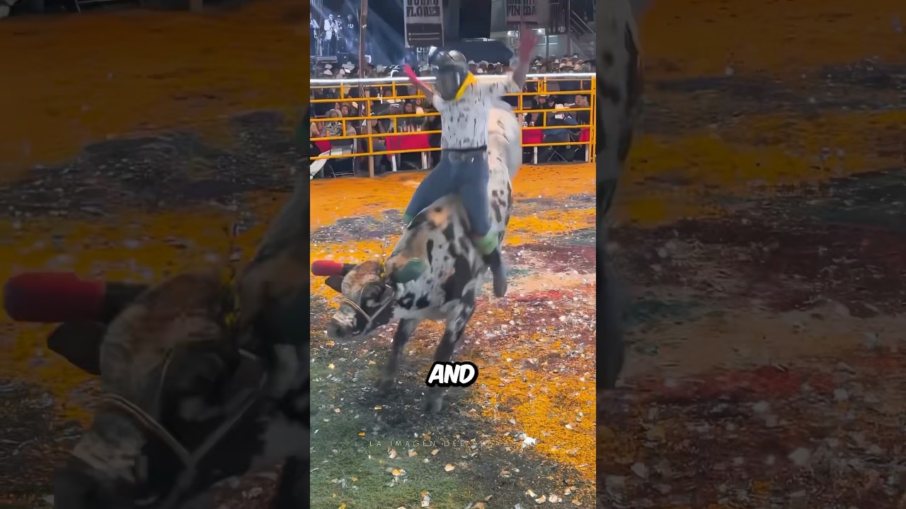 Crazy Bull Riding 😳
