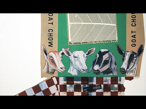 Art Minutes: 'Goat