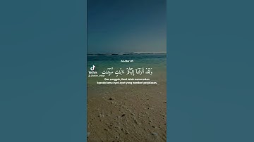 #القران_الكريم #القارئ #الشيخ تلاوات ليلية عطرة للقارئ حكيم عرابي نرجو متابعة الصفحة ودعمها