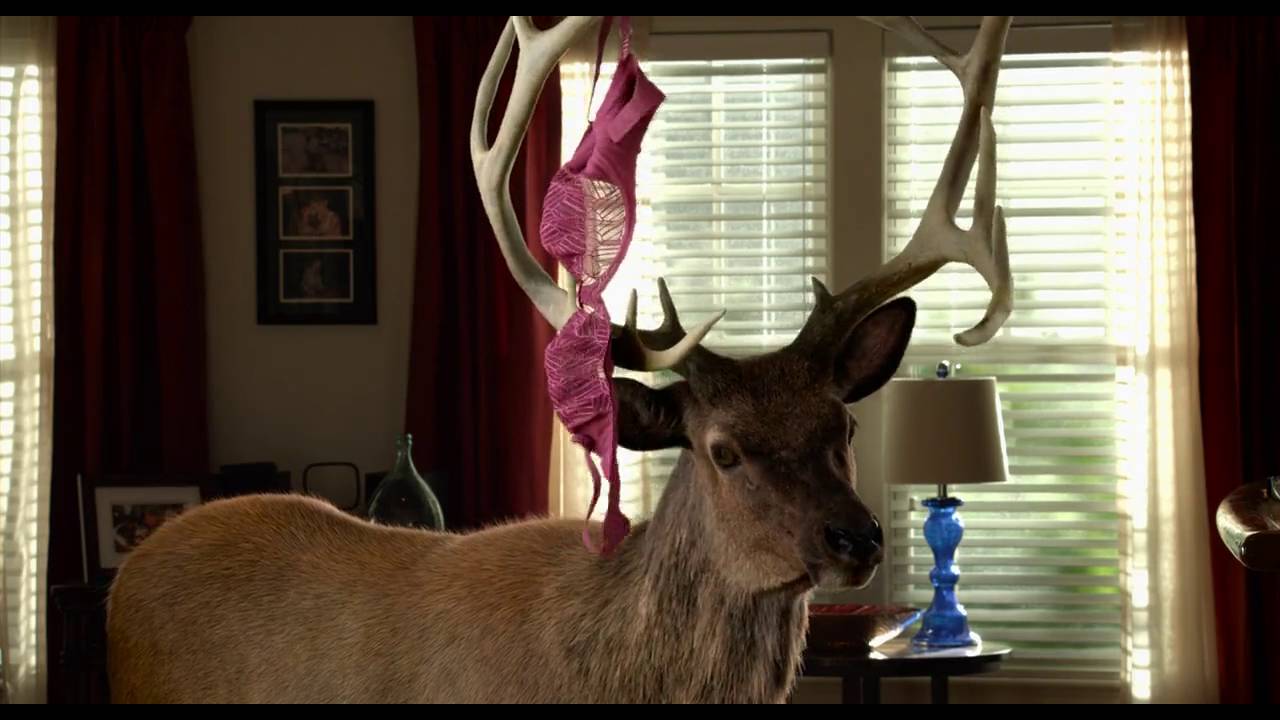 grown ups 2 download torrent