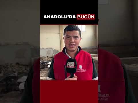 Sektörde alarm! Kurban derisi eskisi gibi para etmiyor / Konya