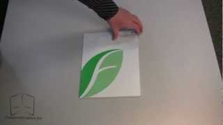 2 Pocket Info Flap Presentation Folder