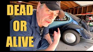 My 1972 HOT ROD VW BUG hasn't been started in more than 5 YEARS!