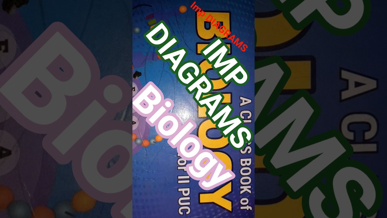 imp DIAGRAMS for midterm 2nd pu 2025