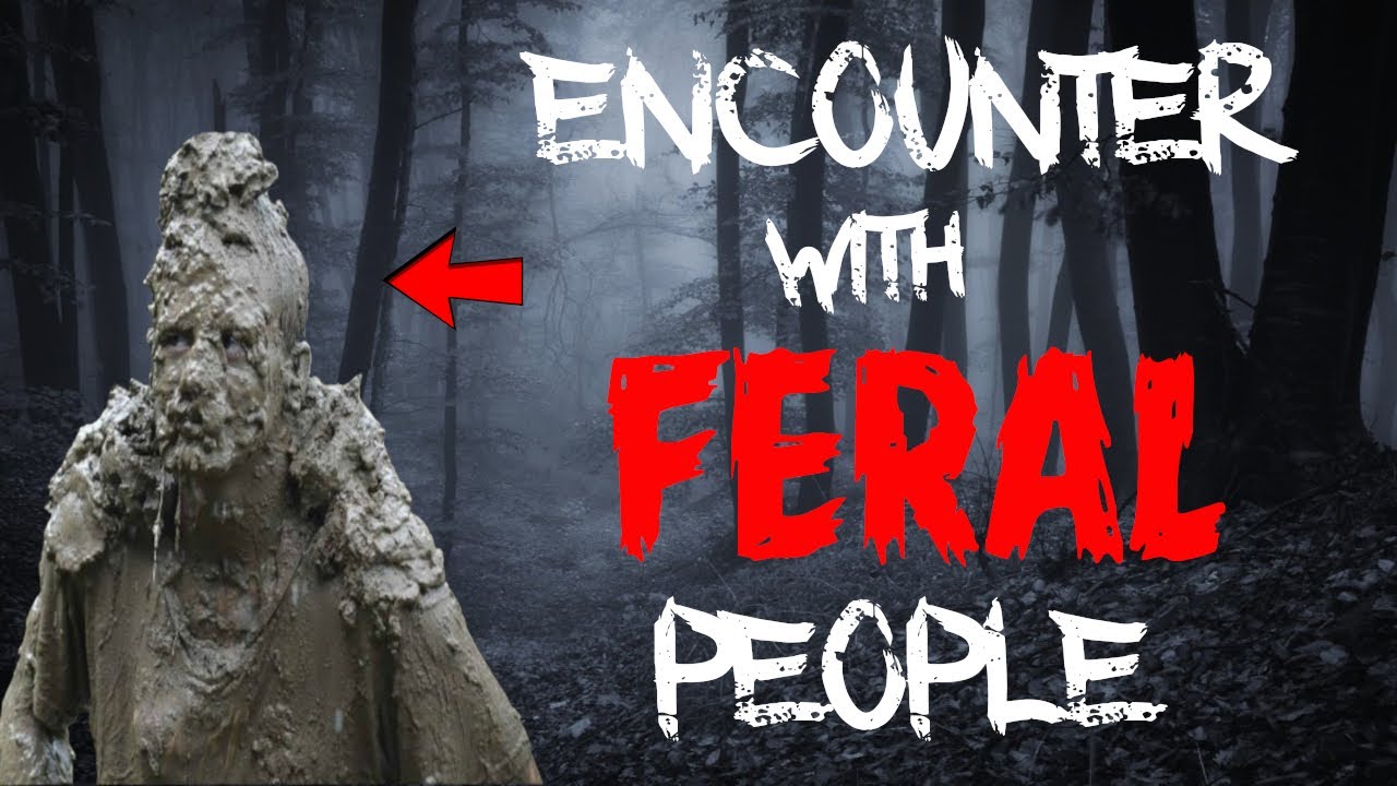 Forced from the smoky mountains by feral people youtube