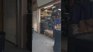 Surprises at work #birds #suprise #comedy #shorts #guest #startled