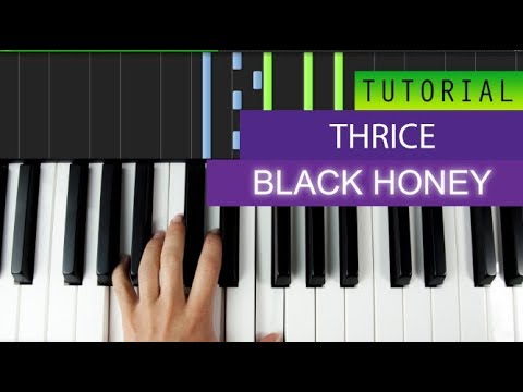 thrice lyrics black honey thrice black honey piano cover tutorial youtube thrice lyrics black honey thrice black honey piano cover tutorial youtube