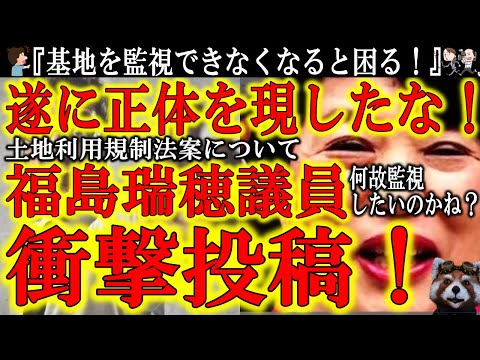 【遂に正体を現した！福島瑞穂議員衝撃のツイート！】『基地や原発の監視したら罰せられるのは困る！』はぁ？中国共産党関連の外資が基地周辺の日本国土を買収して監視等利用するのを制限する法案なんだが？