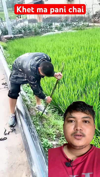 Khetma pani chihai garne tarika yesto gajjab ko #trending #agriculture #farming #water #wow