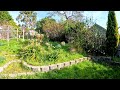 Crazy Garden Restoration | This Homeowner Really Needed Some Help