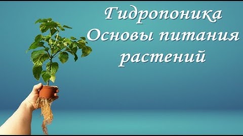 Гидропоника. Питательный раствор. Основы питания.