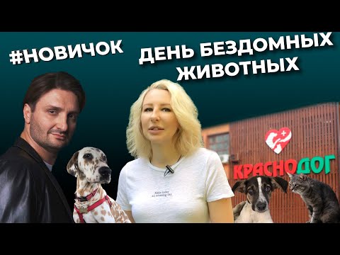 День бездомных животных: Краснодог, Запашный, Зооправо.