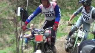 00265 Micha