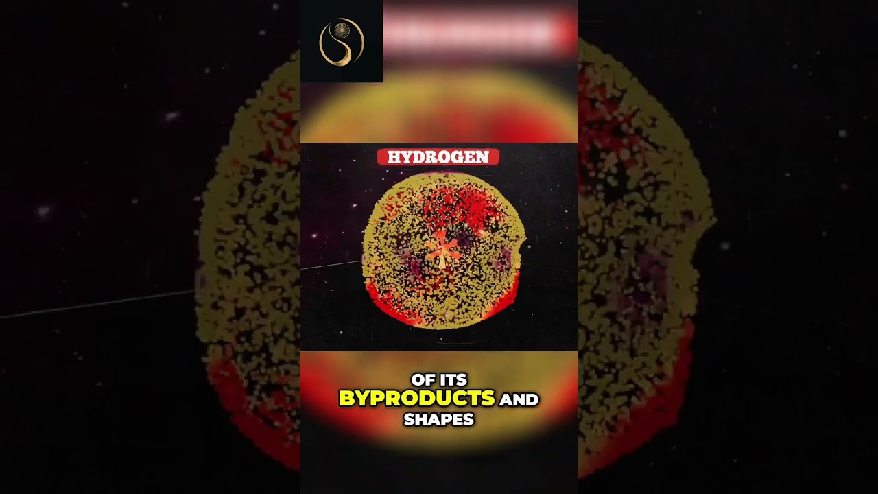 The Interconnected Nature of the Universe: Terence's Insights