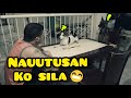 MGA ASONG NAUUTUSAN, LAUGH TRIP TO