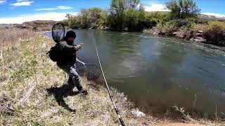 Truckee river spring 2024