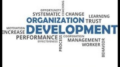 يعني ايه O.D ودورة ايه في الشركة