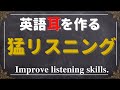 【圧巻の555 厳選フレーズ】猛リスニングで英語耳・英語脳を鍛える!