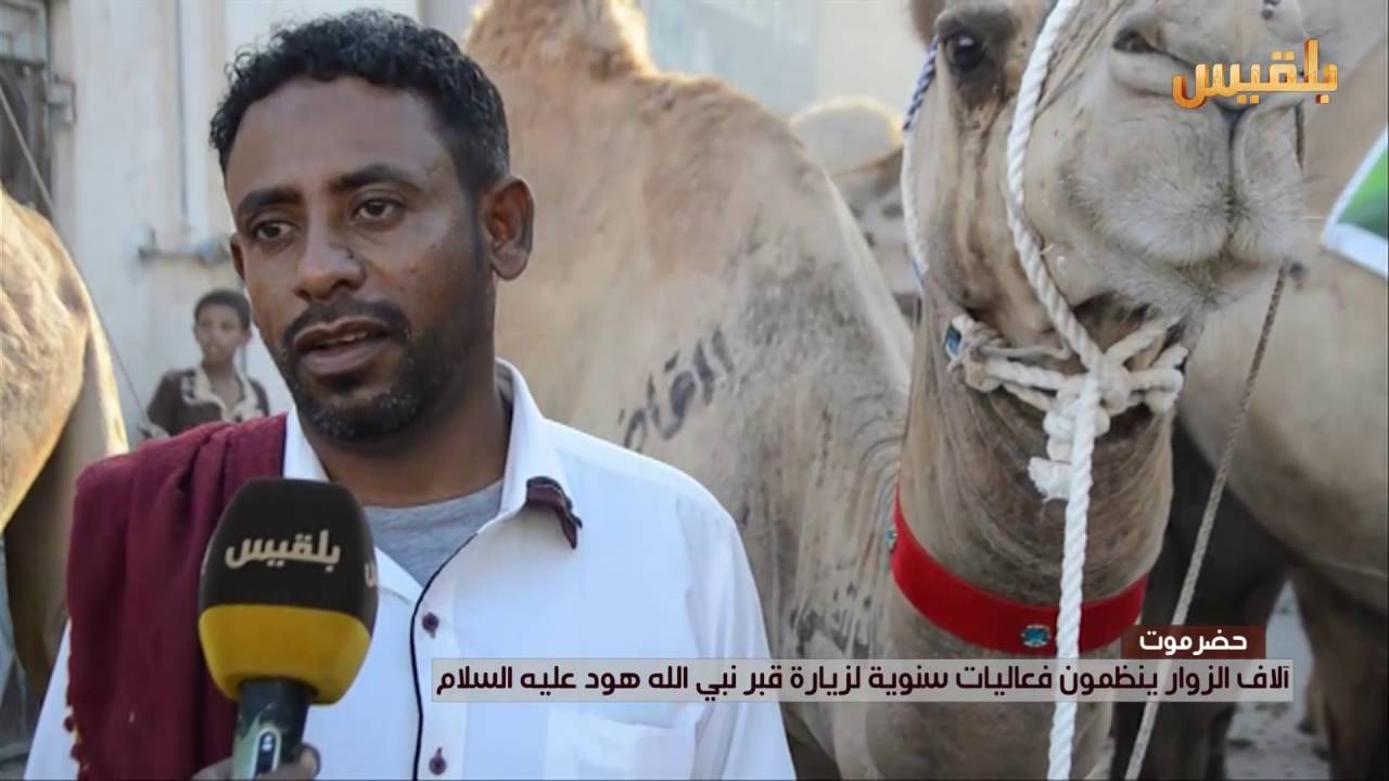 آلاف الزوار ينظمون فعاليات سنوية لزيارة قبر النبي هود عليه السلام | تقرير: حداد مسيعد