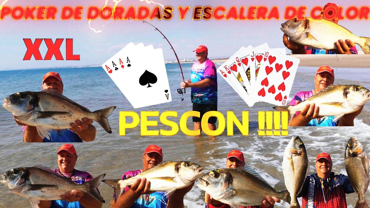 PESCA SURFCASTING POKER DE DORADAS Y ESCALERA DE COLOR