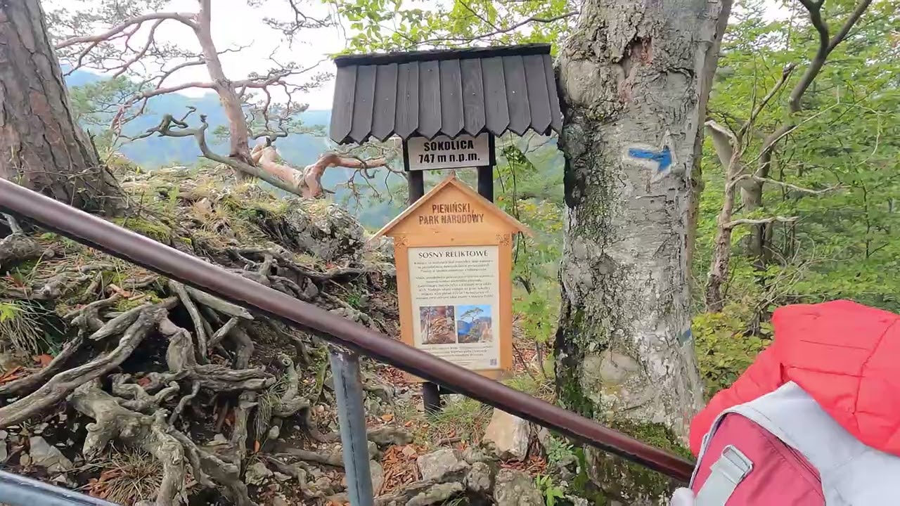 Z Krościenka nad Dunajcem na Sokolicę