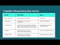 Copado Branching Strategy - Overview