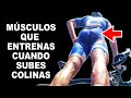 QUÉ MÚSCULOS ENTRENAS CUANDO SUBES COLINAS EMPINADAS 🚲 SALUD CICLISTA