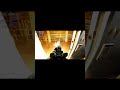 Best Feeling Is Revenge #Nobackup #fyp #gameplay #zombie #gaming #games #getrekt #zombiegames