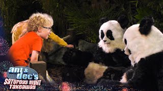 Ant & Dec Undercover prank at the Zoo | Saturday Night Takeaway